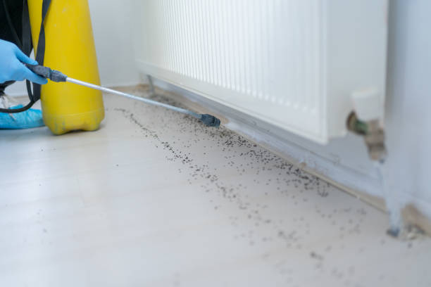 Best Pest Control for Multi-Family Homes  in Mount Clemens, MI